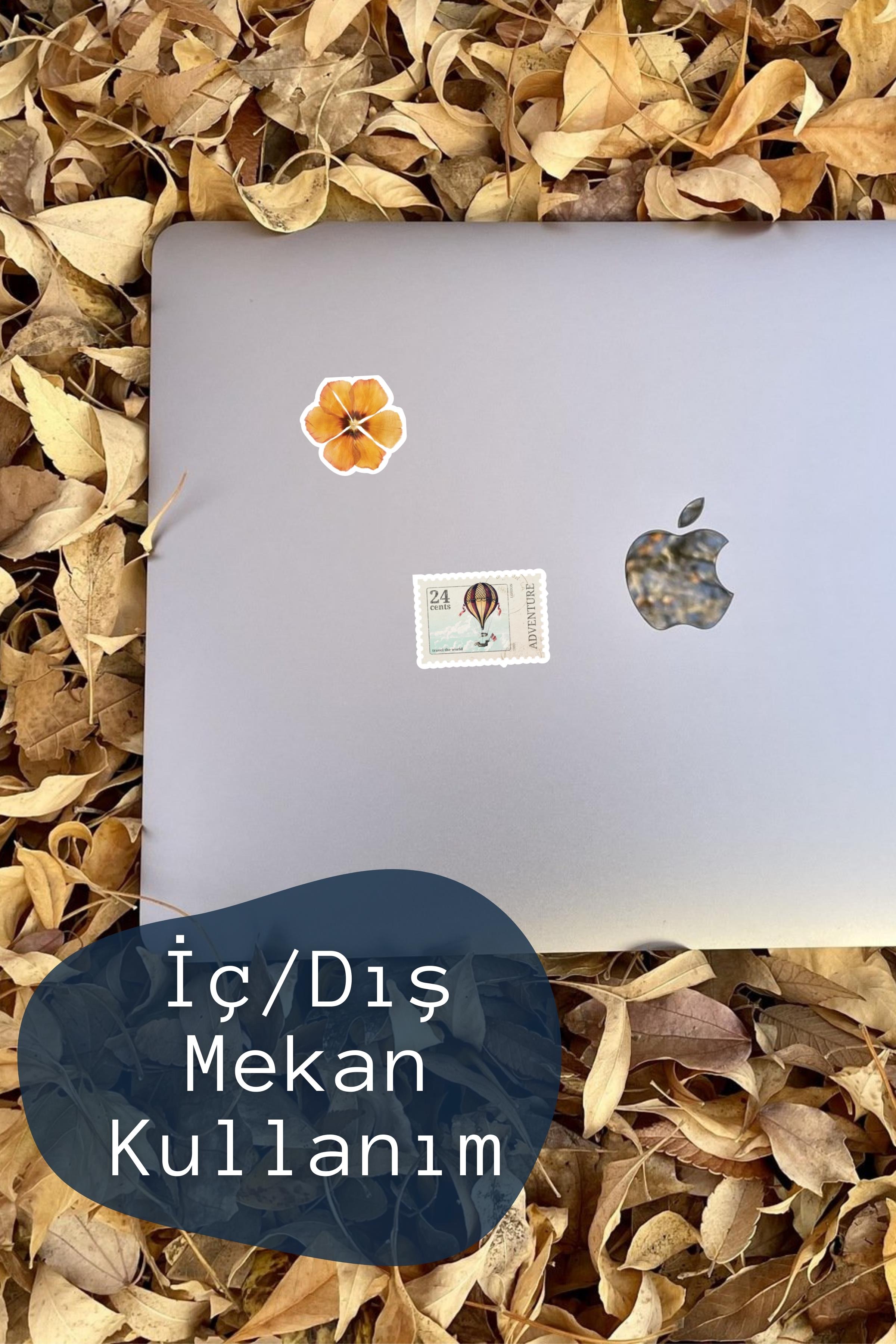 Vintage Retro Etiket Seti, Büyük Boy, 16 Adet Su Geçirmez, Sticker Seti, Laptop, Telefon, Valiz Uyumlu