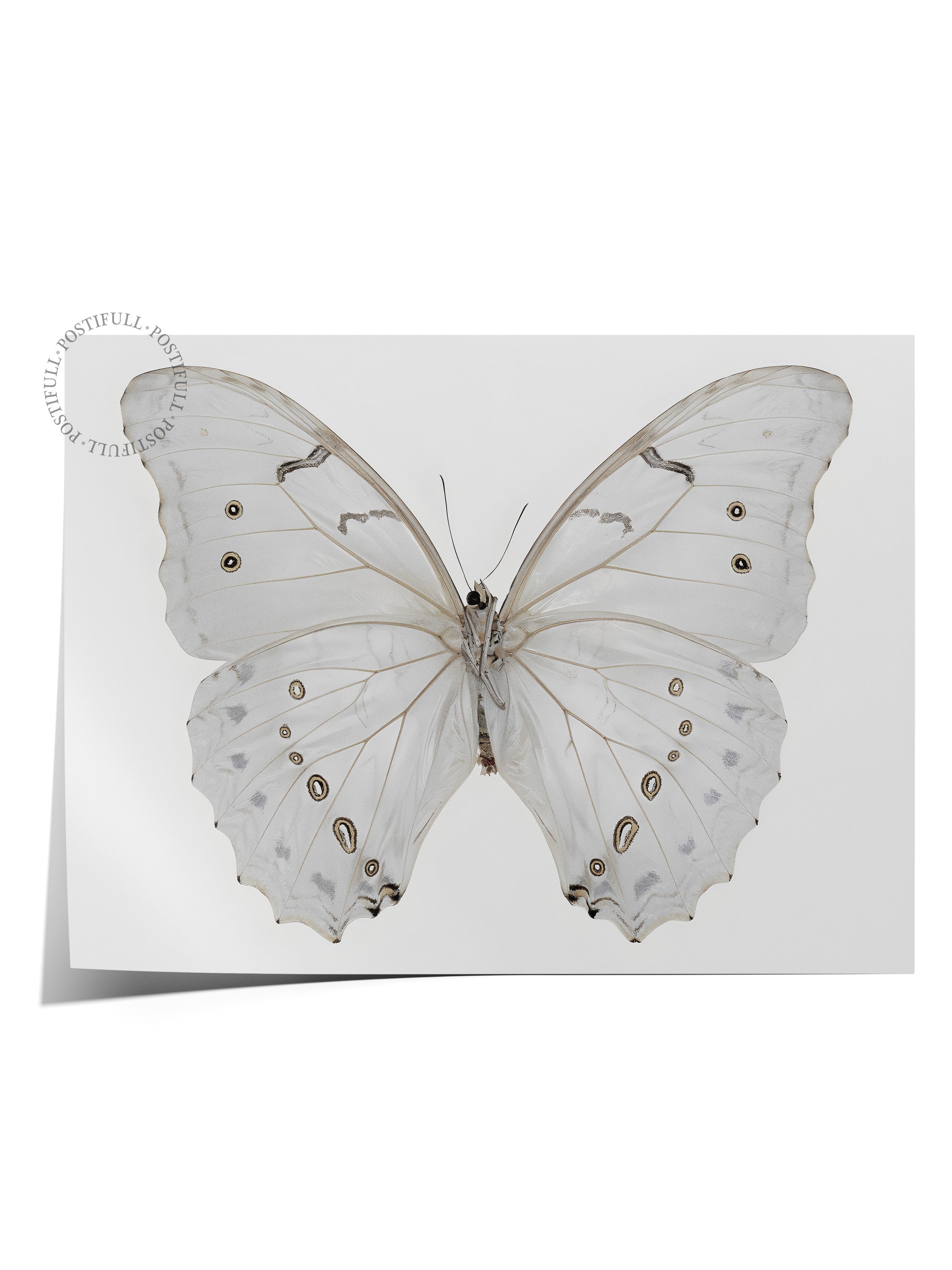 Vintage Tablo, Çerçevesiz Poster, Vintage Duvar Dekoru