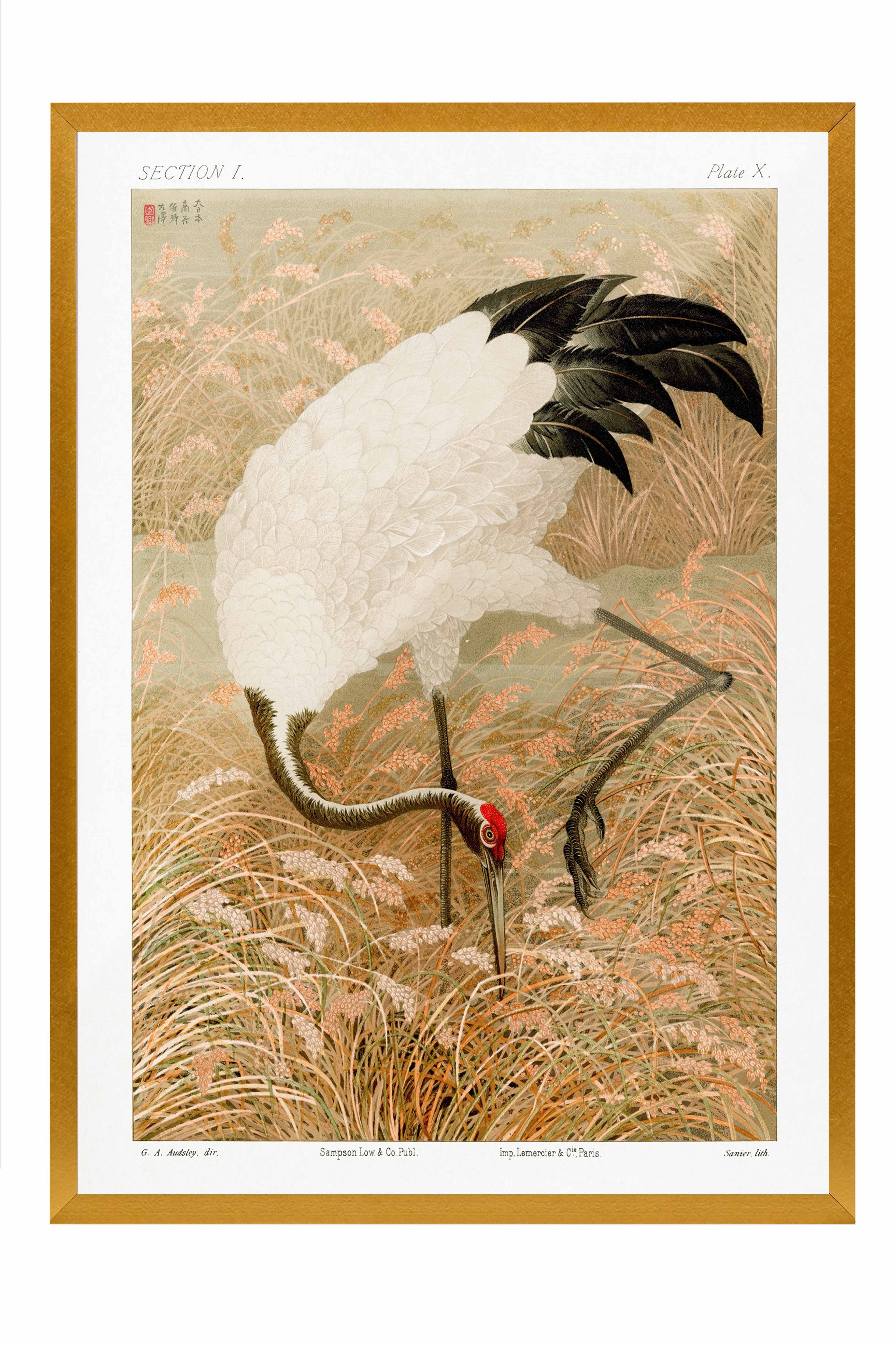 Vintage Tablo, Gold Çerçeveli Poster, Vintage Duvar Dekoru