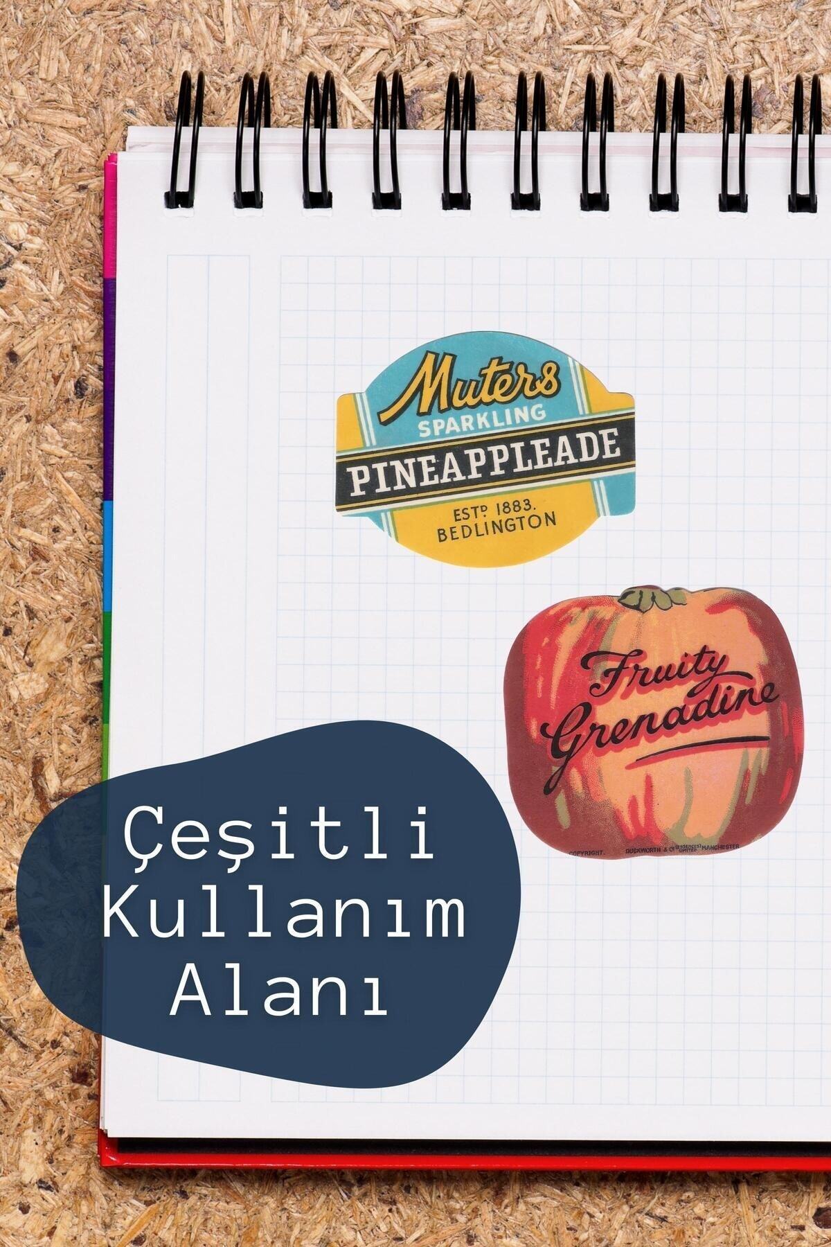 Vintage Temalı Sticker Seti - 8 Adet Etiket Seti- Telefon, Tablet, Defter Laptop Uyumlu Etiket