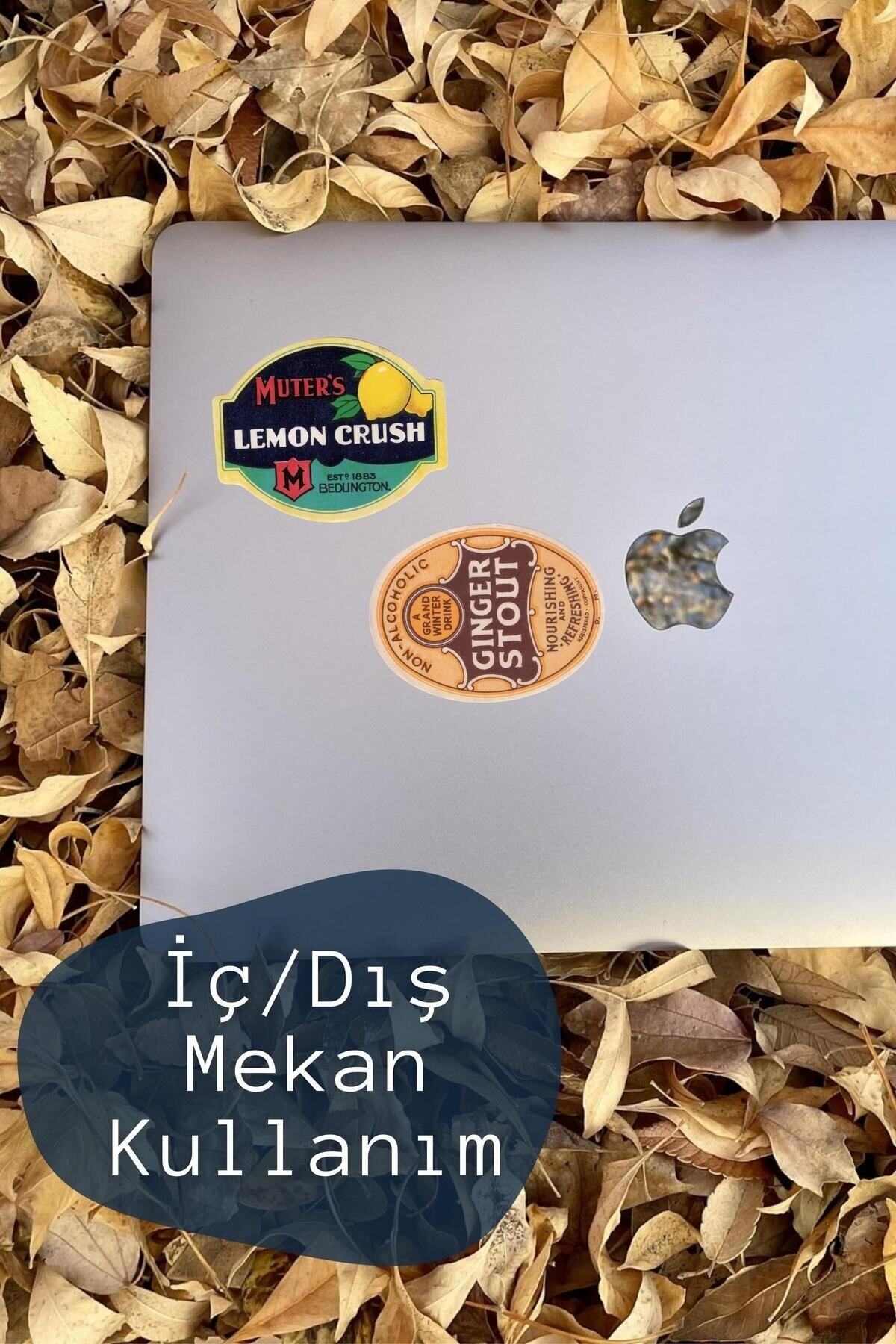 Vintage Temalı Sticker Seti - 8 Adet Etiket Seti- Telefon, Tablet, Defter Laptop Uyumlu Etiket