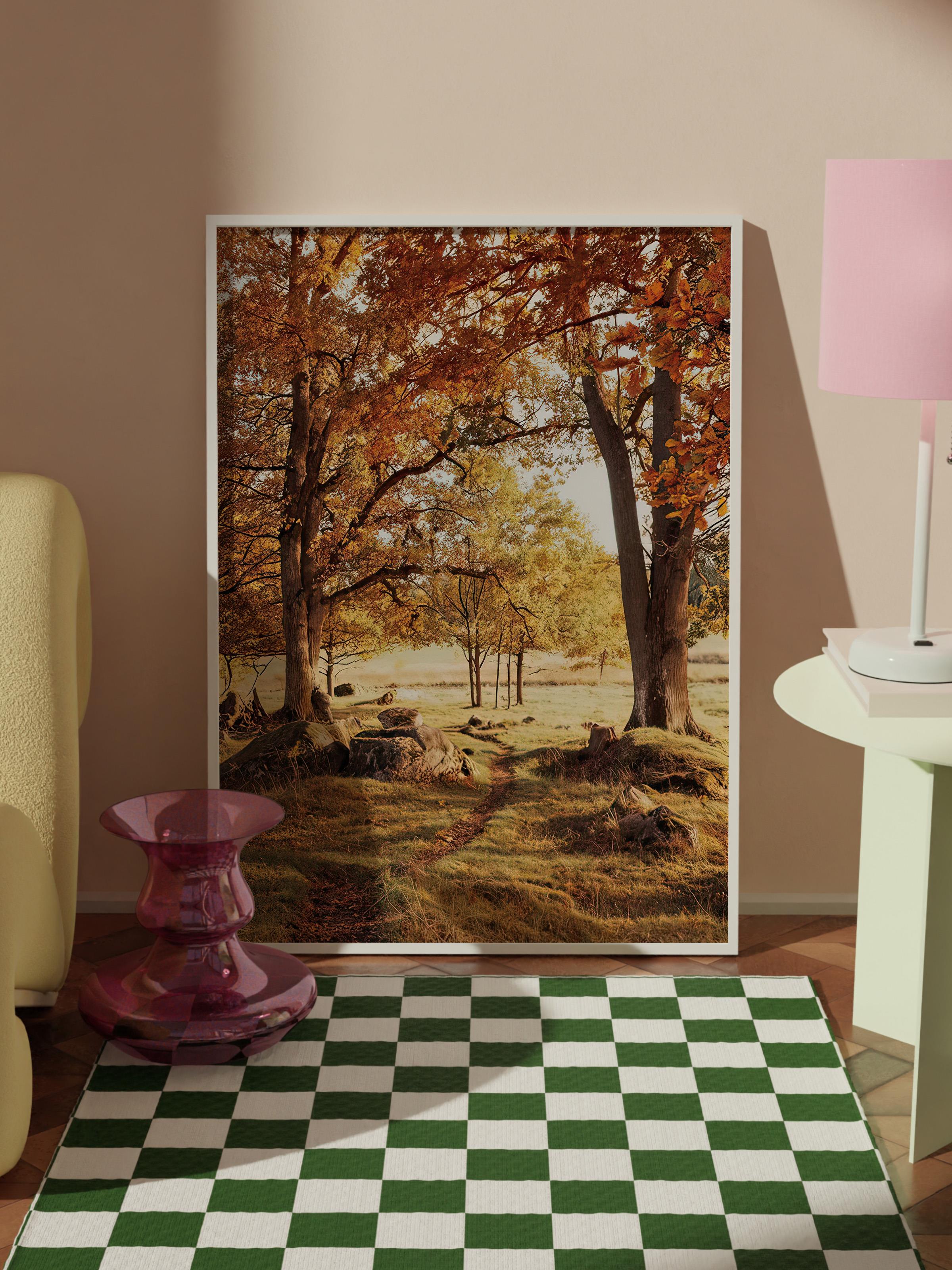 Warm Grove Canvas Çerçeveli Tablo, Beyaz Çerçeve ve Poster, Duvar Tablosu Comfort Serisi NO:108354