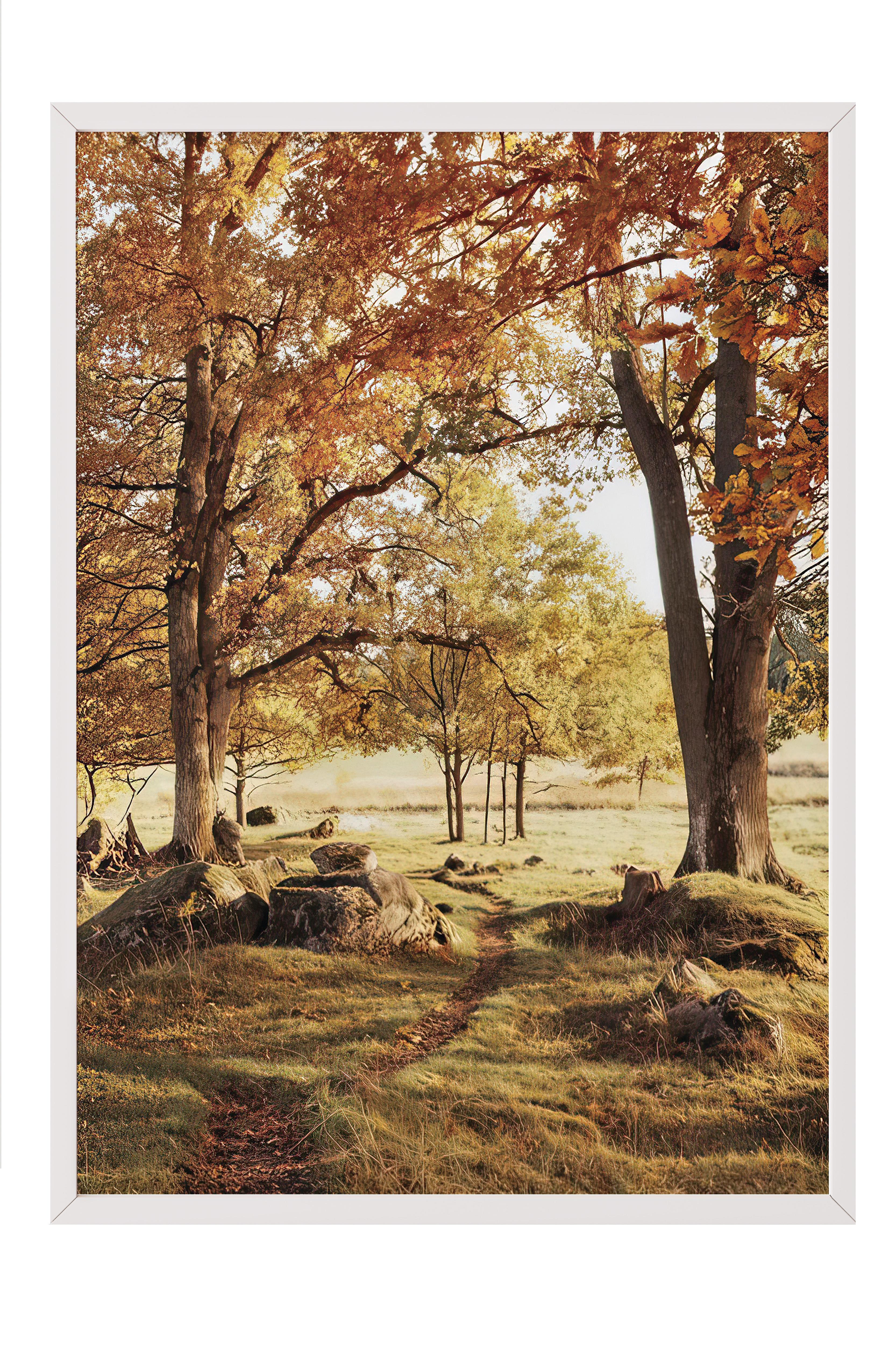 Warm Grove Canvas Çerçeveli Tablo, Beyaz Çerçeve ve Poster, Duvar Tablosu Comfort Serisi NO:108354