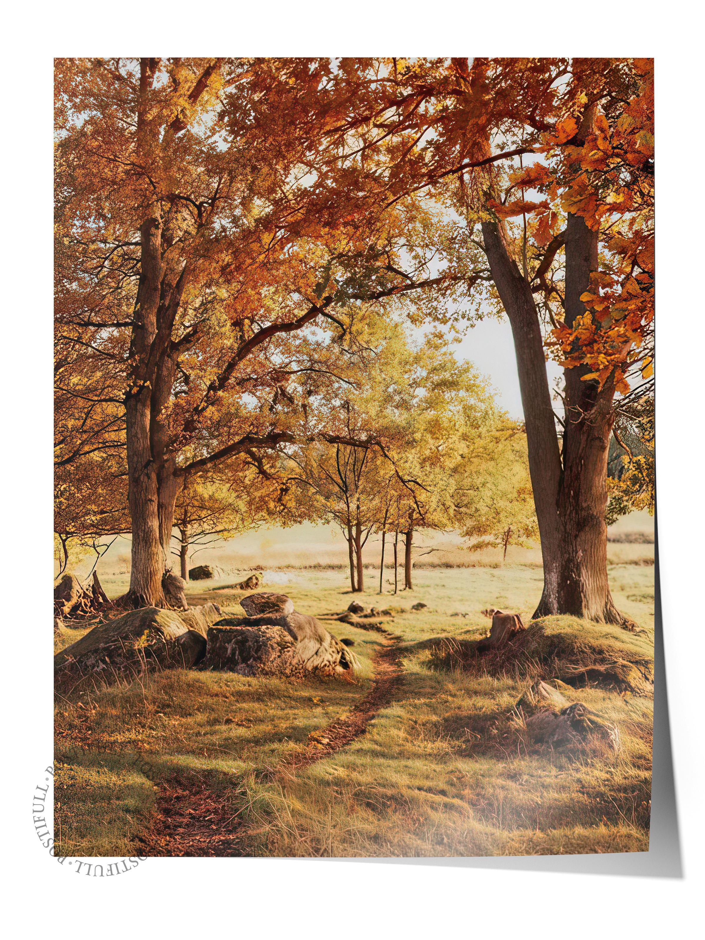 Warm Grove Canvas Poster, Çerçevesiz Duvar Posteri, Dikey Duvar Tablosu Comfort Serisi NO:108354
