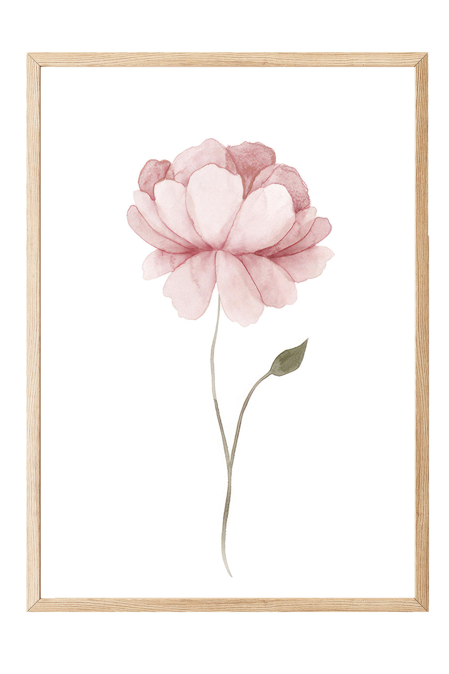 Pembe Çiçek Suluboya Poster – Ahşap Çerçeveli Tablo
