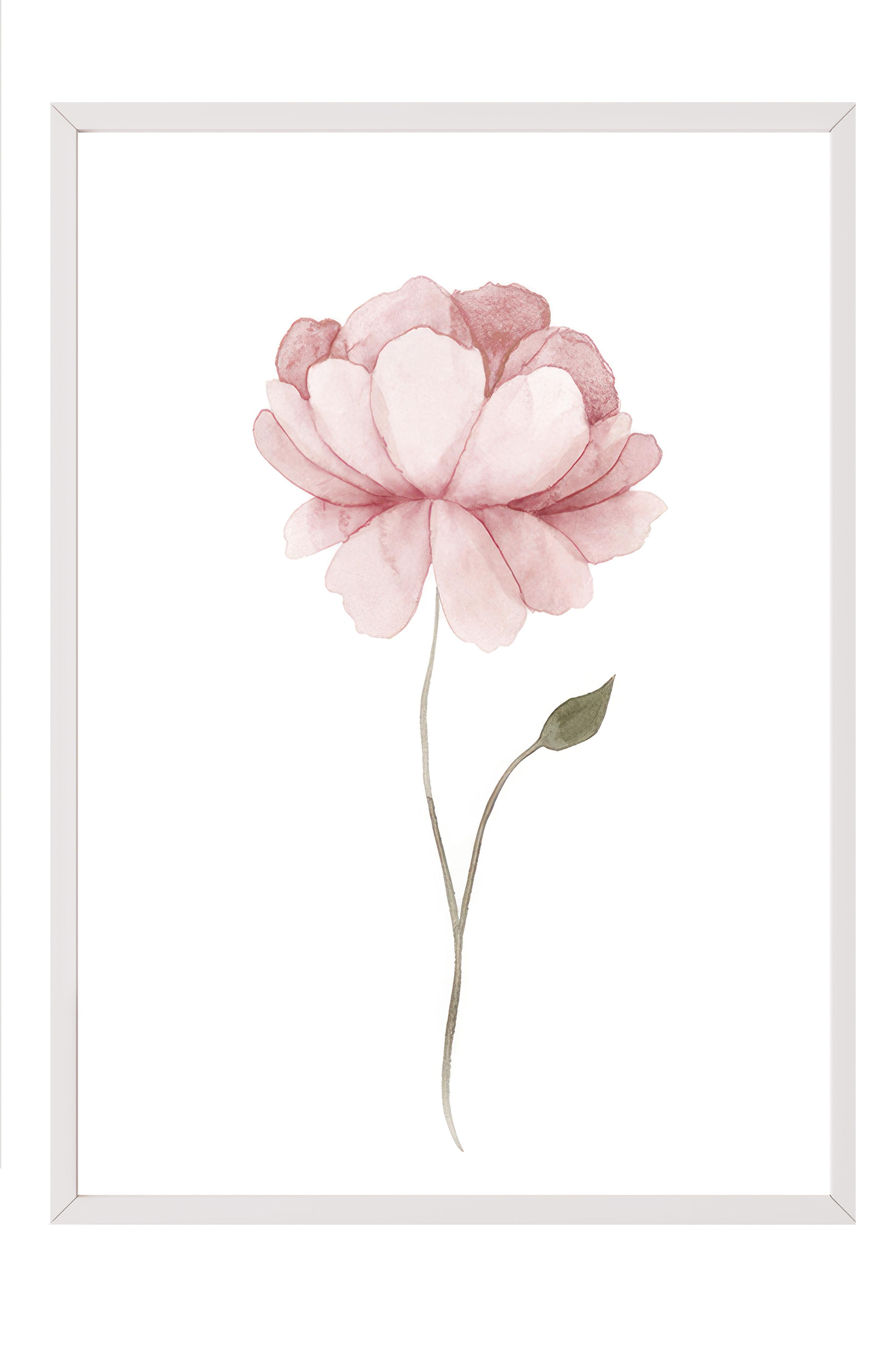 Watercolour Peony Çerçeveli Tablo, Beyaz Çerçeve ve Poster, Duvar Tablosu Comfort Serisi NO:108493