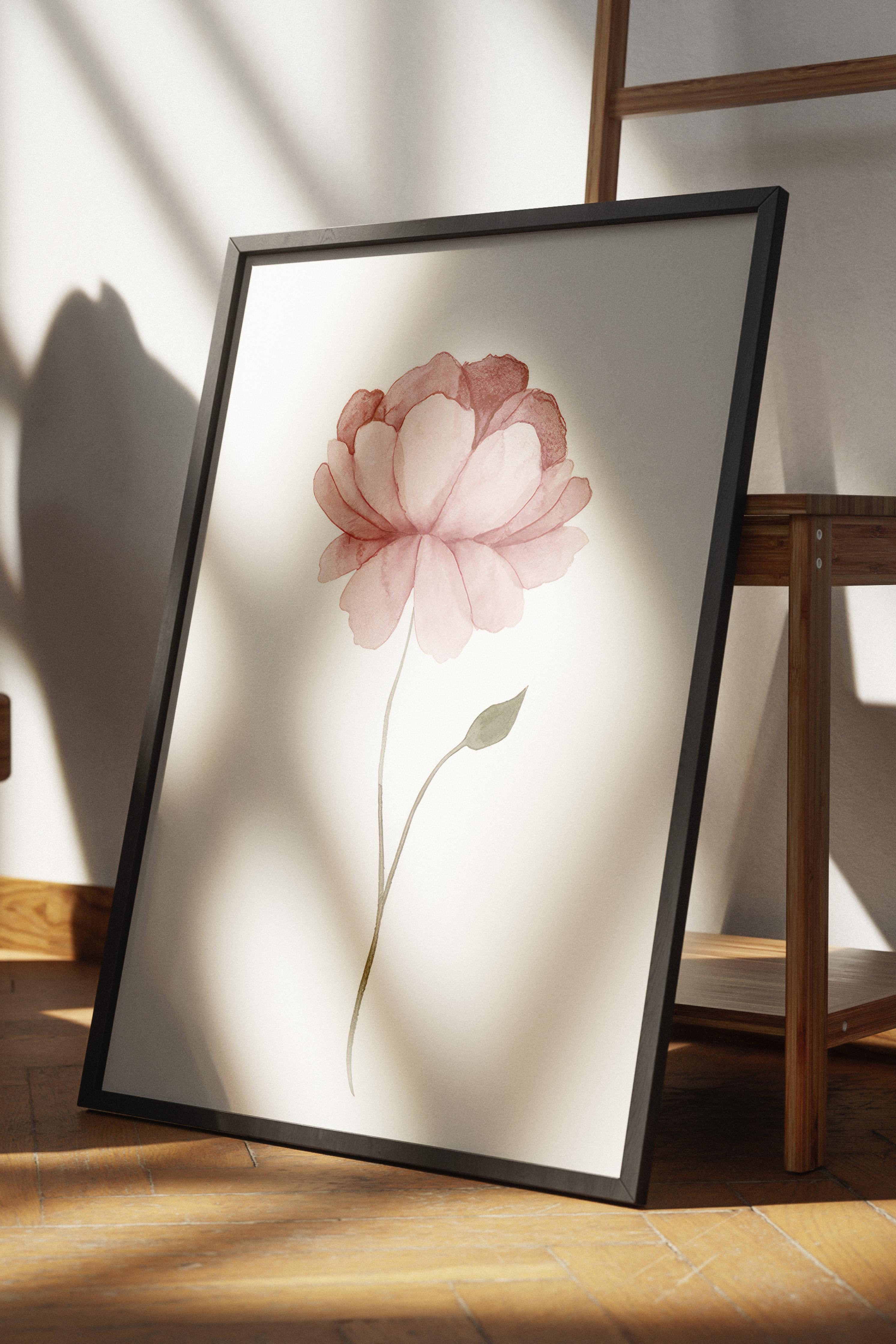 Watercolour Peony Çerçeveli Tablo, Siyah Çerçeve ve Poster, Duvar Tablosu Comfort Serisi NO:108493