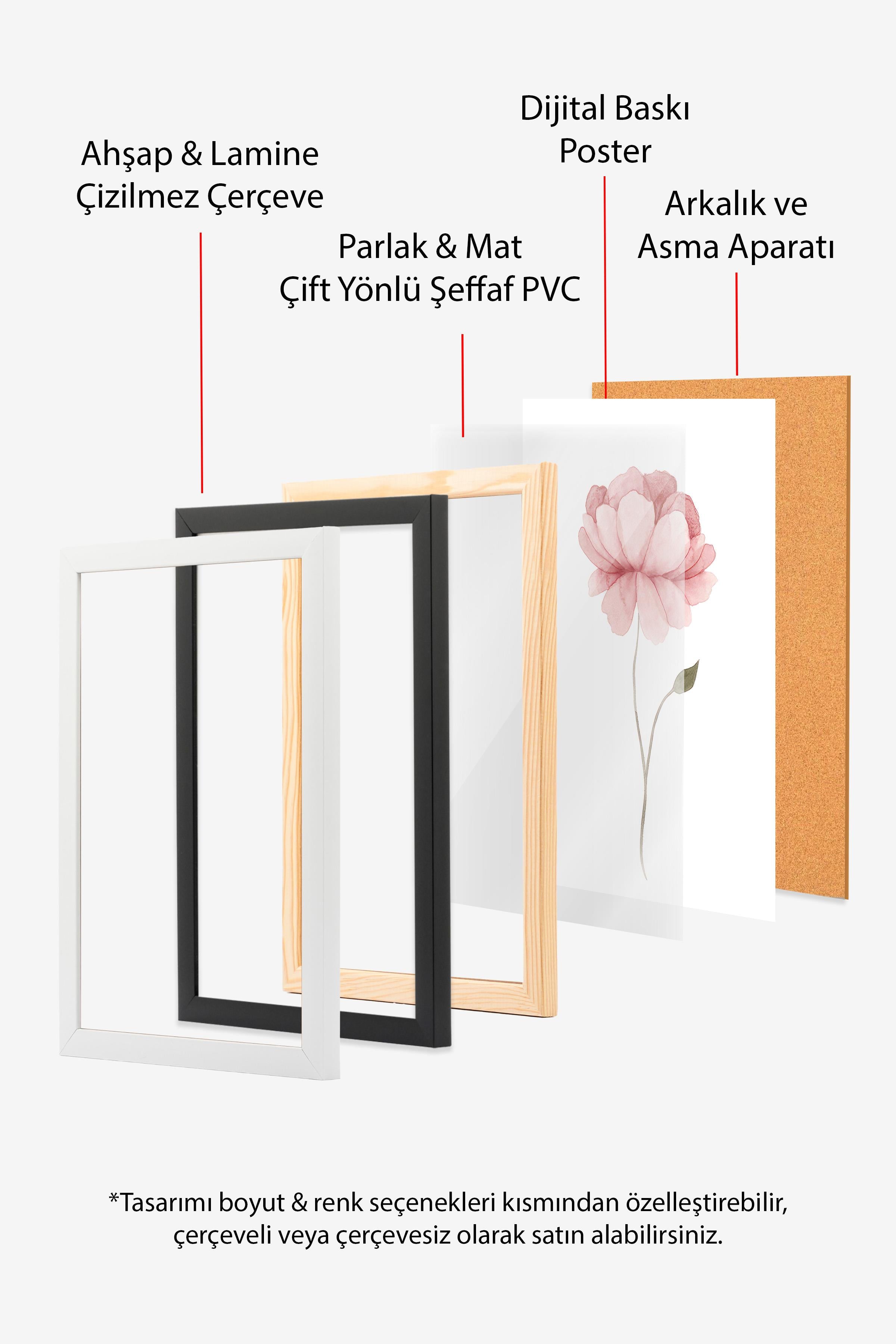Watercolour Peony Çerçeveli Tablo, Siyah Çerçeve ve Poster, Duvar Tablosu Comfort Serisi NO:108493