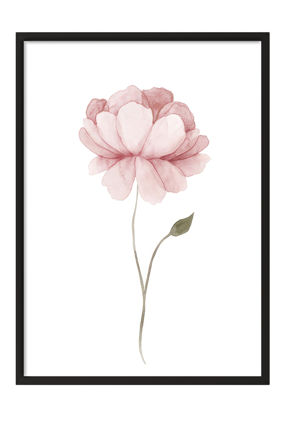 Pembe Çiçek Suluboya Poster – Siyah Çerçeveli Tablo