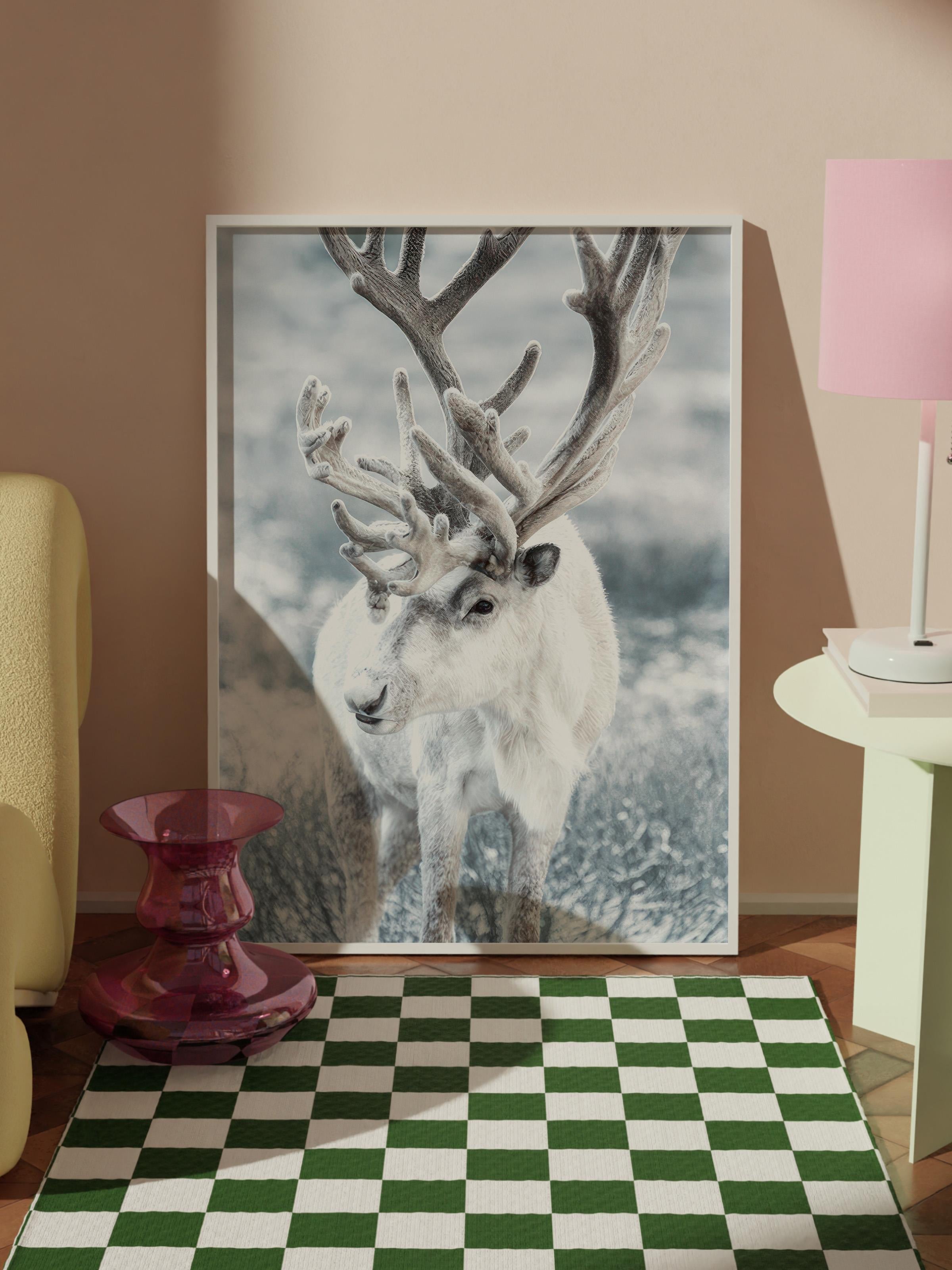 Winter Reindeer Çerçeveli Yılbaşı Tablosu, Beyaz Çerçeve ve Poster Comfort Serisi NO:108509