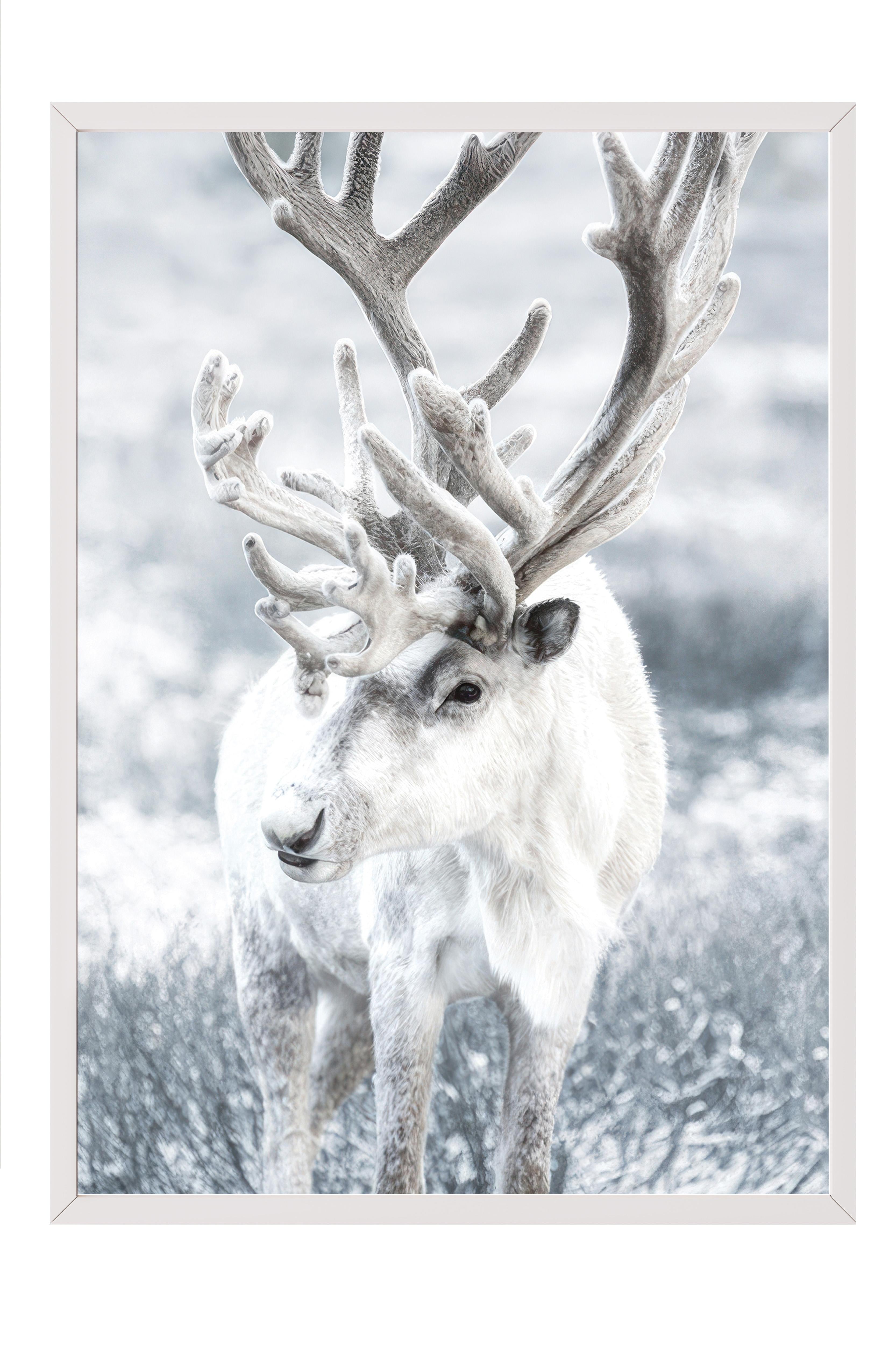 Winter Reindeer Çerçeveli Yılbaşı Tablosu, Beyaz Çerçeve ve Poster Comfort Serisi NO:108509