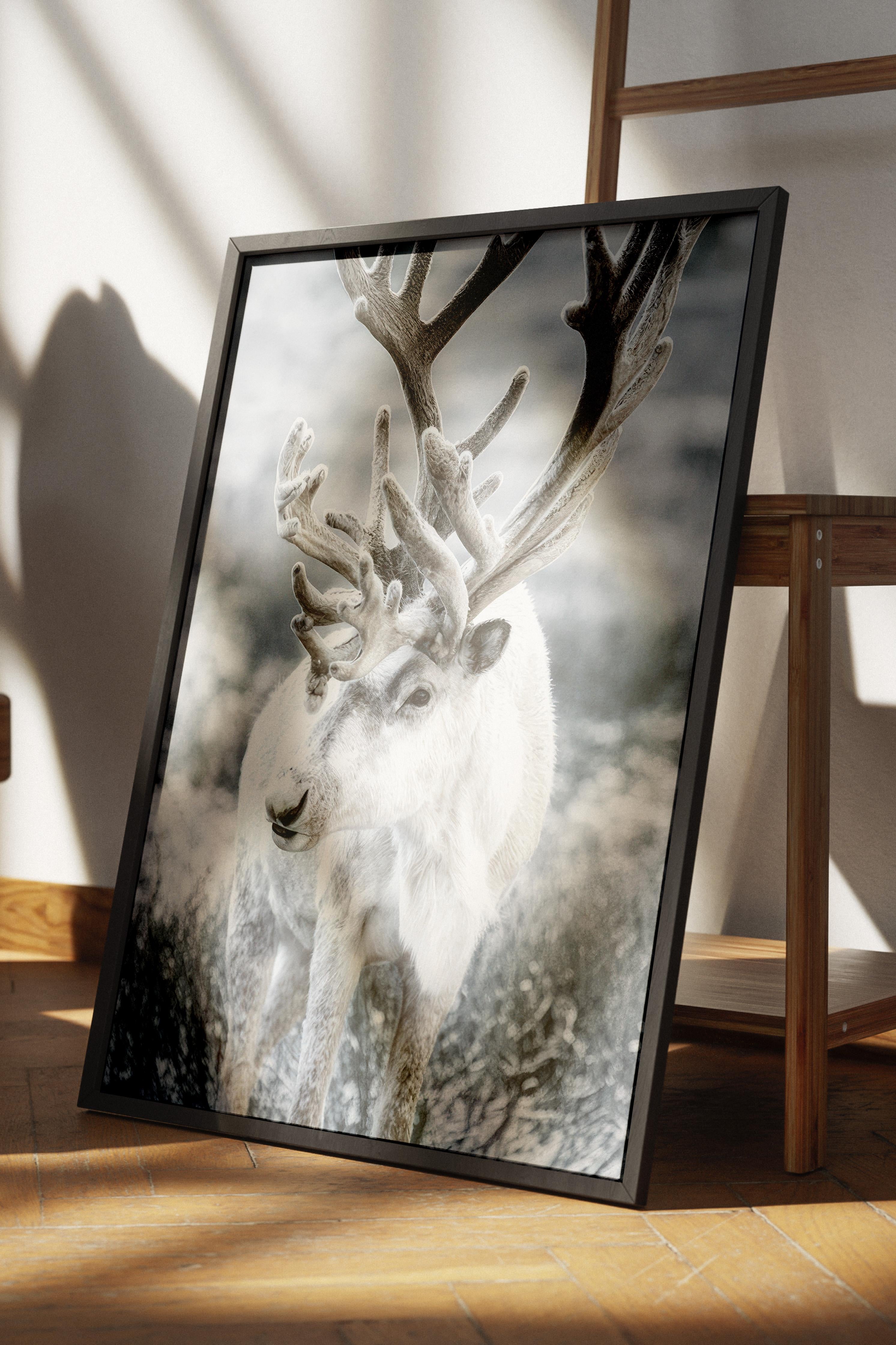 Winter Reindeer Çerçeveli Yılbaşı Tablosu, Siyah Çerçeve ve Poster Comfort Serisi NO:108509