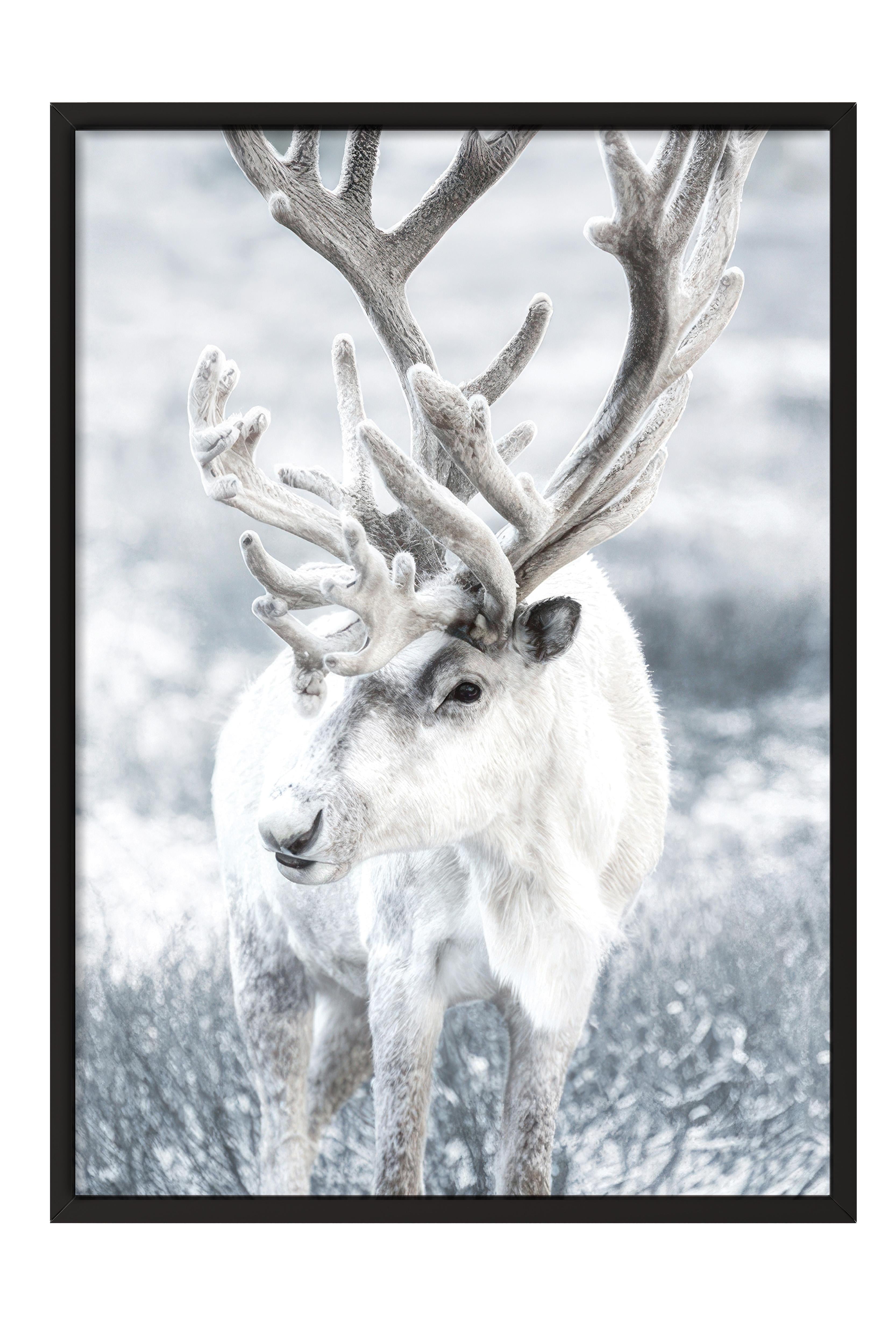 Winter Reindeer Çerçeveli Yılbaşı Tablosu, Siyah Çerçeve ve Poster Comfort Serisi NO:108509
